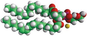 16:0-18:2 PG 1-palmitoyl-2-linoleoyl-sn-glycero-3-phospho-(1′-rac-glycerol) (sodium salt), chloroform