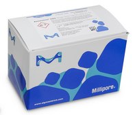 GDS Shiga Toxin Genes (Top 7) Tq BioControl, Molecular based PCR test for the detection of Shiga Toxin genes in "Top Seven" Shiga Toxigenic E. coli (STEC) in food