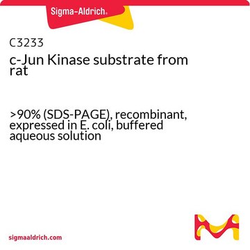 c-Jun Kinase substrate from rat &gt;90% (SDS-PAGE), recombinant, expressed in E. coli, buffered aqueous solution