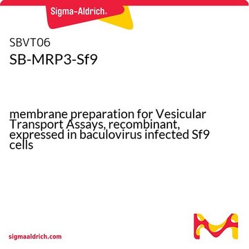 SB-MRP3-Sf9 membrane preparation for Vesicular Transport Assays, recombinant, expressed in baculovirus infected Sf9 cells