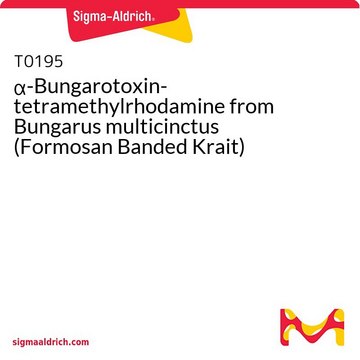 &#945;-Bungarotoxin-tetramethylrhodamine from Bungarus multicinctus (Formosan Banded Krait)