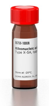 Ribonucleic acid, transfer from baker’s yeast (S.&#160;cerevisiae) Type X-SA, lyophilized powder