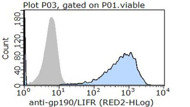 Anti-LIF Receptor, clone 1C7 (Azide Free) Antibody clone 1C7, from mouse