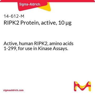 RIPK2 Protein, active, 10 &#181;g Active, human RIPK2, amino acids 1-299, for use in Kinase Assays.