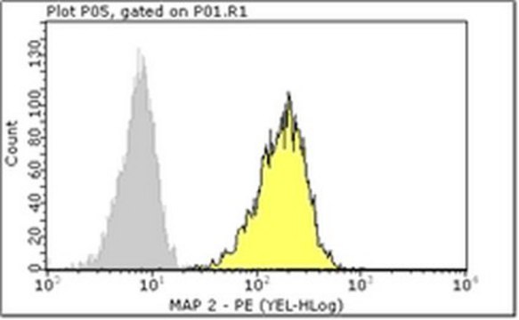 Milli-Mark&#174; Anti-MAP2-PE Antibody, clone AP20 clone AP20, Milli-Mark&#174;, from mouse