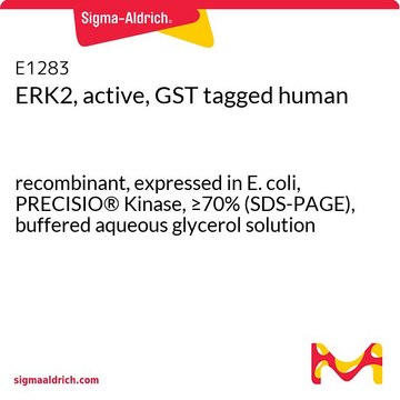 ERK2, active, GST tagged human recombinant, expressed in E. coli, PRECISIO&#174; Kinase, &#8805;70% (SDS-PAGE), buffered aqueous glycerol solution