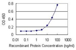 Monoclonal Anti-SLC26A9 antibody produced in mouse clone 4E9, purified immunoglobulin, buffered aqueous solution