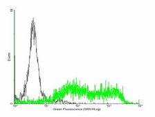 Anti-ULBP2 antibody produced in mouse IgG fraction of antiserum, buffered aqueous solution