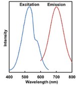 BioTracker™ Mitophagy Detection Kit