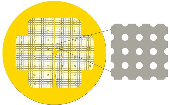 QUANTIFOIL on London Finder Grids (H7) Gold Grids, size 400&#160;mesh, pack of 100