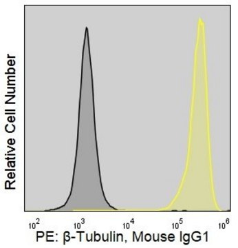 Anti-Human &#946;-Tubulin (AA2) ColorWheel&#174; Dye-Ready mAb