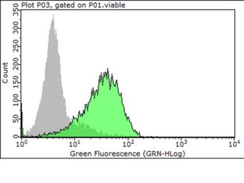 Anti-Integrin &#945;3 Antibody, clone ASC-1 (Azide Free) clone ASC-1, Chemicon&#174;, from mouse