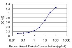 Monoclonal Anti-ELF1 antibody produced in mouse clone 3B7, purified immunoglobulin, buffered aqueous solution
