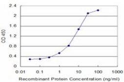 Monoclonal Anti-SLITL2 antibody produced in mouse clone 4G7, purified immunoglobulin, buffered aqueous solution