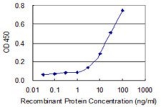 Monoclonal Anti-SPSB1 antibody produced in mouse clone 3E7, purified immunoglobulin, buffered aqueous solution