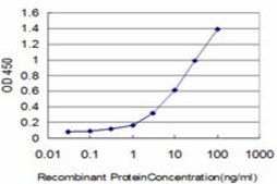 ANTI-ERN1 antibody produced in mouse clone 4D12, purified immunoglobulin, buffered aqueous solution