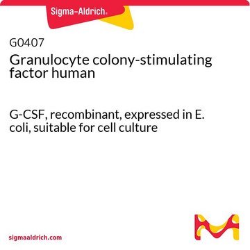 Granulocyte colony-stimulating factor human G-CSF, recombinant, expressed in E. coli, suitable for cell culture