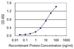 Monoclonal Anti-SLC27A4 antibody produced in mouse clone 1F4-1B10, purified immunoglobulin, buffered aqueous solution