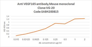 Anti-VEGF165 antibody, Mouse monoclonal clone VG-20, purified from hybridoma cell culture