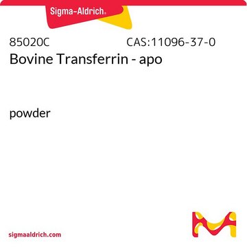 Bovine Transferrin - apo powder