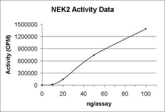 NEK2 Protein, active, 10 &#181;g Active, N-terminal His6-tagged, recombinant, full-length, human NEK2, for use in Kinase Assays.