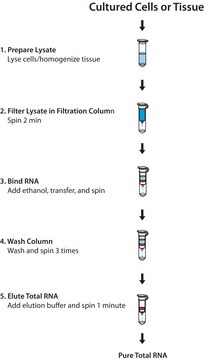 GenElute&#8482; Mammalian Total RNA Miniprep Kit sufficient for 10&#160;purifications