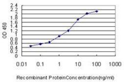 Monoclonal Anti-SYNGR2 antibody produced in mouse clone 5C3, purified immunoglobulin, buffered aqueous solution