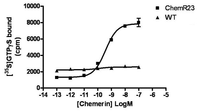 ChemiSCREEN Membrane Preparation Recombinant Human ChemR23 Chemoattractant Receptor Human ChemR23 / CMKLR1 GPCR membrane preparation for Radioligand binding Assays &amp; GTP&#947;S binding.