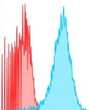 Anti-CD137 Antibody, clone LOB12.0