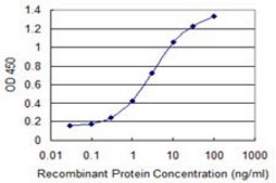 Monoclonal Anti-CPA4 antibody produced in mouse clone 1F4, purified immunoglobulin, buffered aqueous solution