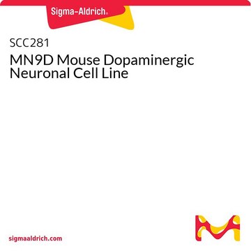 MN9D Mouse Dopaminergic Neuronal Cell Line