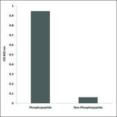 Anti-phospho-Proteasome α3 (pSer250) antibody produced in rabbit affinity isolated antibody