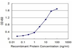 Monoclonal Anti-HOXB5 antibody produced in mouse clone 3F10, purified immunoglobulin, buffered aqueous solution