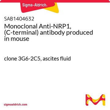 Monoclonal Anti-NRP1, (C-terminal) antibody produced in mouse clone 3G6-2C5, ascites fluid