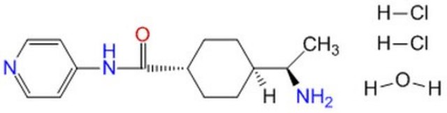 Y-27632，溶剂为DMSO InSolution, &#8805;95%, 10 mM, reversible and selective inhibitor of Rho-associated protein kinases