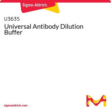 Universal Antibody Dilution Buffer