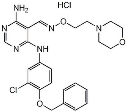 EGFR/ErbB-2/ErbB-4 Inhibitor II - CAS 944341-54-2 - Calbiochem The EGFR/ErbB-2/ErbB-4 Inhibitor II, also referenced under CAS 944341-54-2, controls the biological activity of EGFR/ErbB-2/ErbB-4. This small molecule/inhibitor is primarily used for Phosphorylation &amp; Dephosphorylation applications.