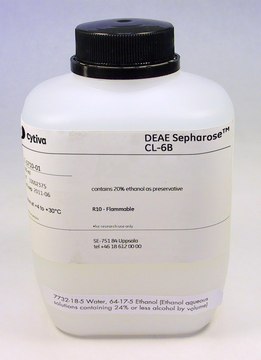 DEAE-Sepharose&#8482; CL-6B Cytiva 17-0710-01, pack of 500&#160;mL