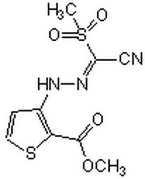 HIF-2&#945;翻译抑制剂 The HIF-2&#945; Translation Inhibitor, also referenced under CAS 882268-69-1, controls the biological activity of HIF-2&#945;. This small molecule/inhibitor is primarily used for Cell Structure applications.