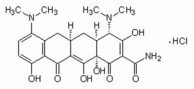 Minocycline, Hydrochloride - CAS 13614-98-7 - Calbiochem Semi-synthetic tetracycline derivative effective against tetracycline-resistant staphylococci.