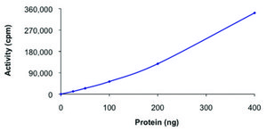 EGFR (695-end), active, GST tagged human PRECISIO® Kinase, recombinant, expressed in baculovirus infected Sf9 cells, ≥70% (SDS-PAGE), buffered aqueous glycerol solution