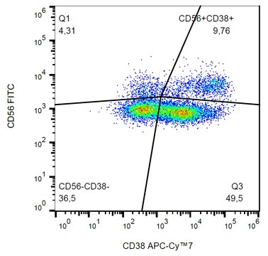 Monoclonal Anti-CD38 APC-Cyanine7 produced in mouse