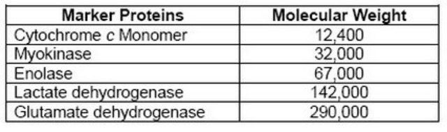 Protein Molecular Weight Markers, HPLC