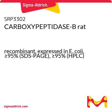 CARBOXYPEPTIDASE-B rat recombinant, expressed in E. coli, &#8805;95% (SDS-PAGE), &#8805;95% (HPLC)