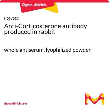 Anti-Corticosterone antibody produced in rabbit whole antiserum, lyophilized powder