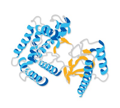 因子D，人 Factor D, Human, is a native single-chain glycoprotein with serine protease activity. Cleaves, and thus activates, Factor B during activation of complement via the alternative pathway.