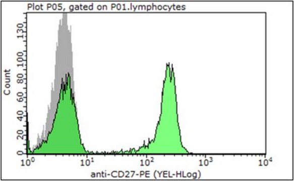 Anti-CD27 Antibody (human), PE, clone O323 clone O323, from mouse