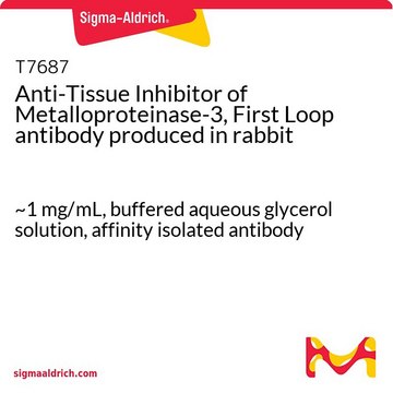 Anti-Tissue Inhibitor of Metalloproteinase-3, First Loop antibody produced in rabbit ~1&#160;mg/mL, buffered aqueous glycerol solution, affinity isolated antibody