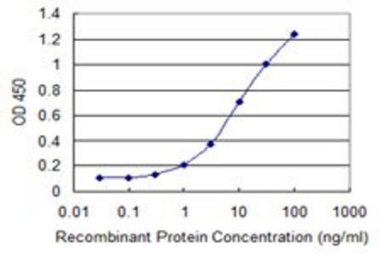 Monoclonal Anti-CA5B antibody produced in mouse clone 1E12, purified immunoglobulin, buffered aqueous solution