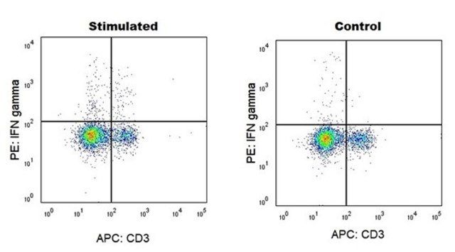 Anti-Mouse IFN-&#947; (XMG1.2) ColorWheel&#174; Dye-Ready mAb for use with ColorWheel&#174; Dyes (Required, (Sold Separately))